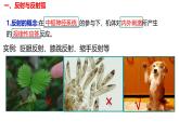 2.2 神经调节的基本方式-【生物好课】2024-2025学年高二生物同步教学课件（人教版2019选择性必修1）