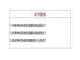 2.1 神经调节的结构基础-【生物好课】2024-2025学年高二生物同步教学课件（人教版2019选择性必修1）