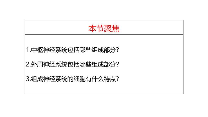 2.1 神经调节的结构基础-【生物好课】2024-2025学年高二生物同步教学课件（人教版2019选择性必修1）02