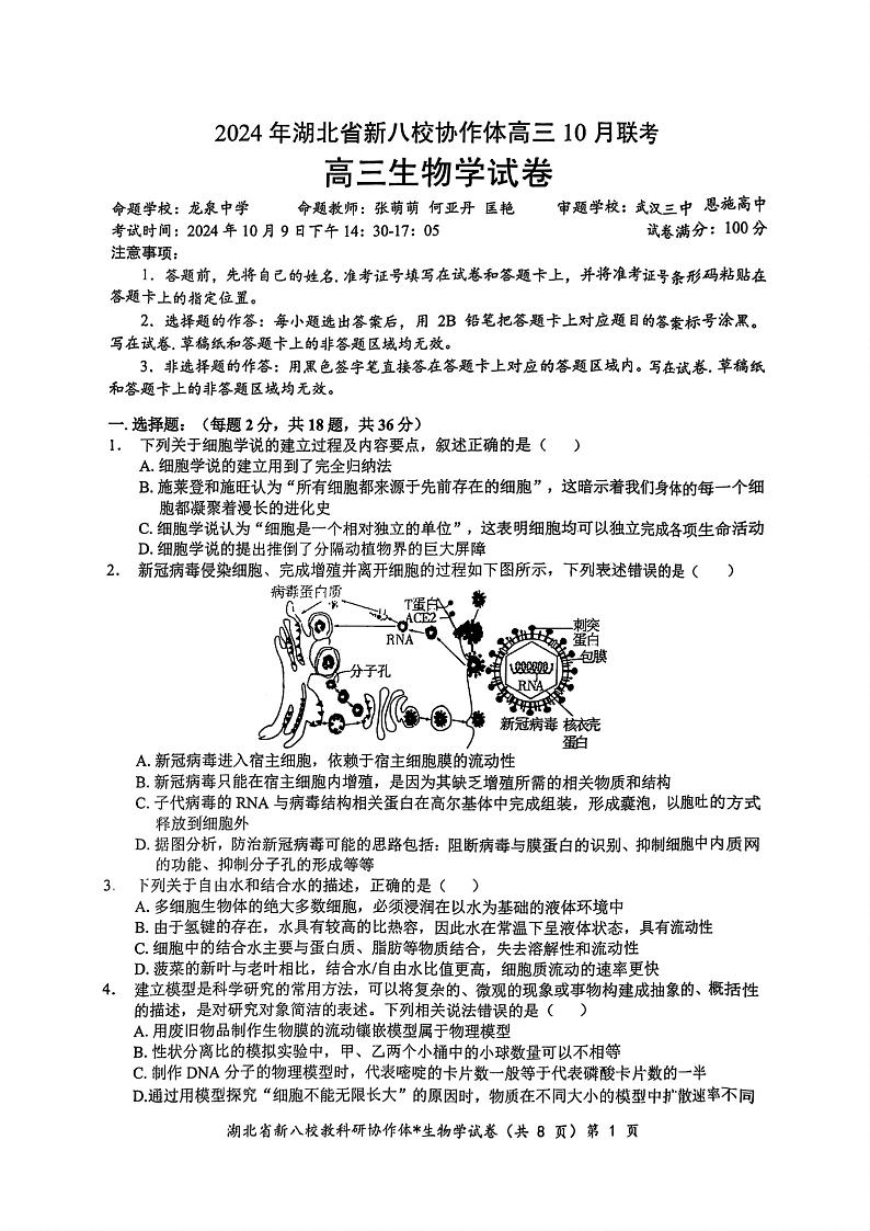 2024年湖北省新八校协作体高三上学期10月联考 生物试题01