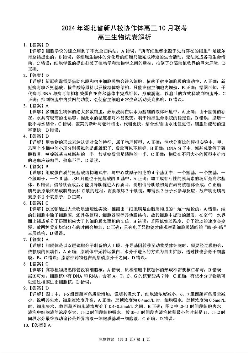2024年湖北省新八校协作体高三上学期10月联考 生物试题01