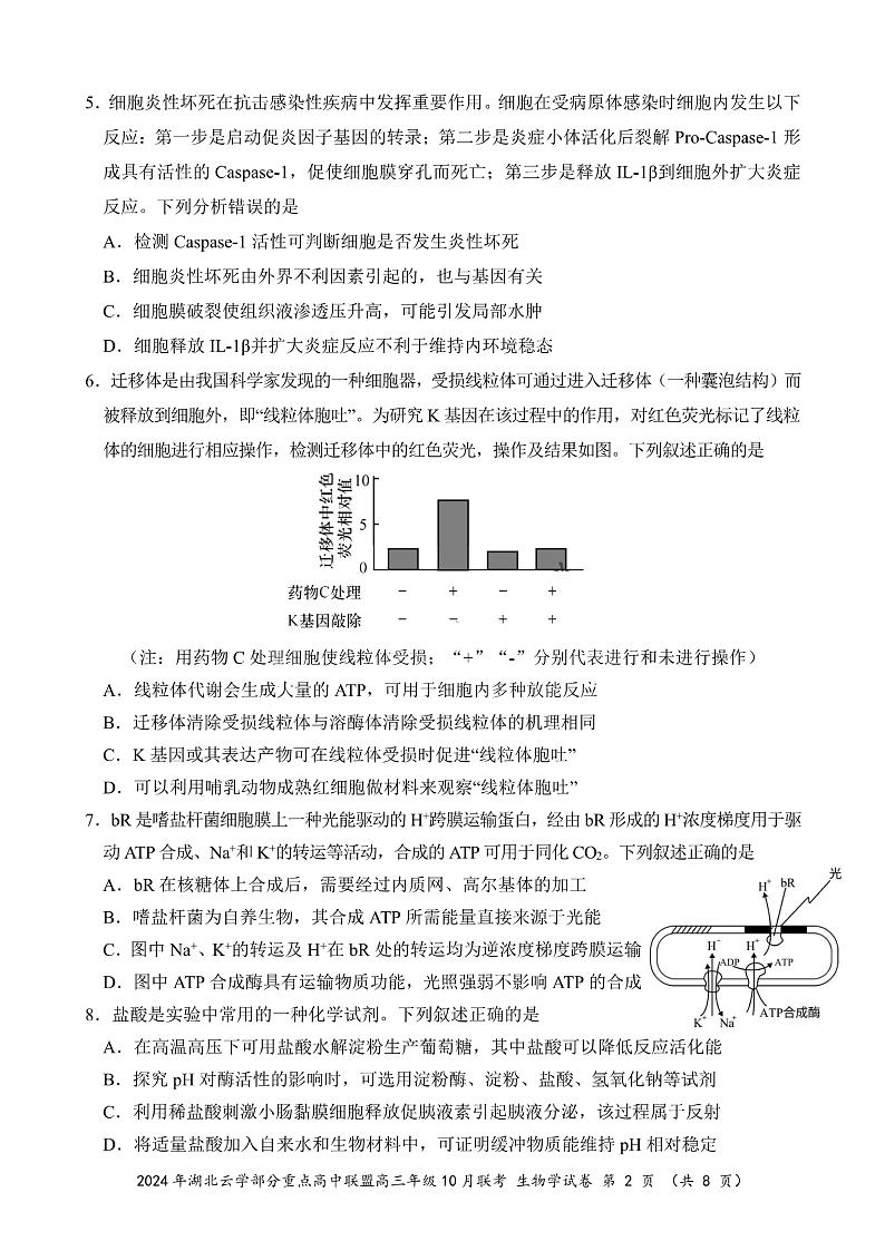2024年湖北云学部分重点高中联盟高三年级10月联考生物试题第2页