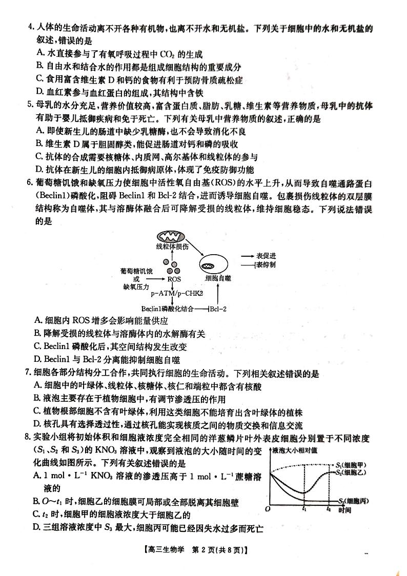 湖北省金太阳百校大联考2024-2025学年高三上学期10月联考生物试题第2页