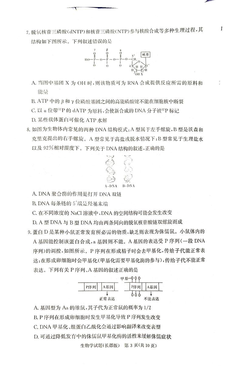 湖南省长沙市长郡中学2024-2025学年高三上学期月考试卷二生物试题第3页