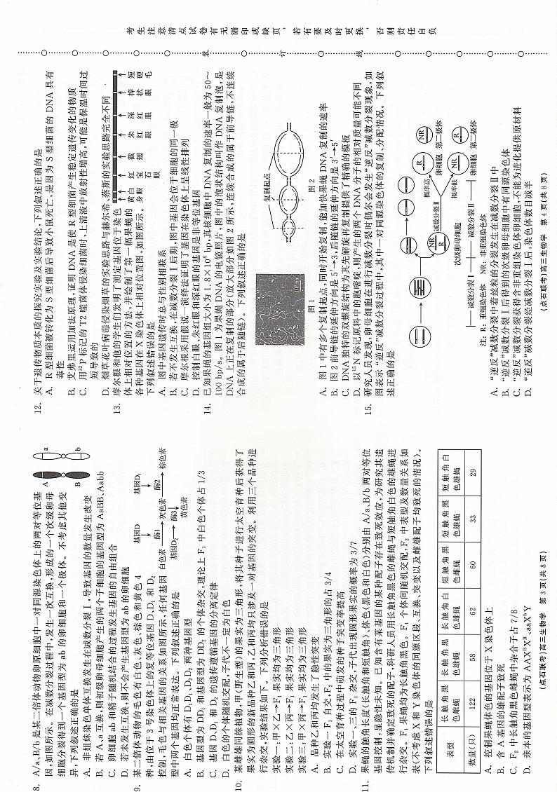 辽宁省点石联考2024-2025学年度上学期高三年级10月阶段考试生物试题第2页