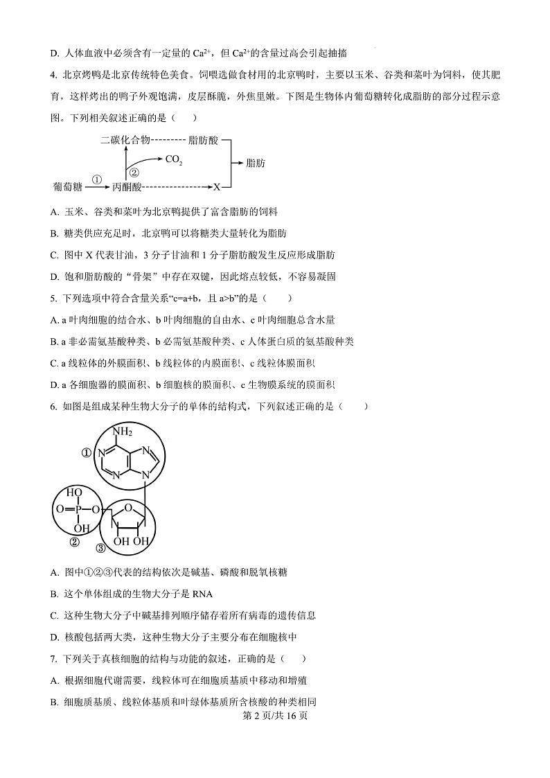 陕西省西安中学2024-2025学年高三上学期10月月考生物试题第2页