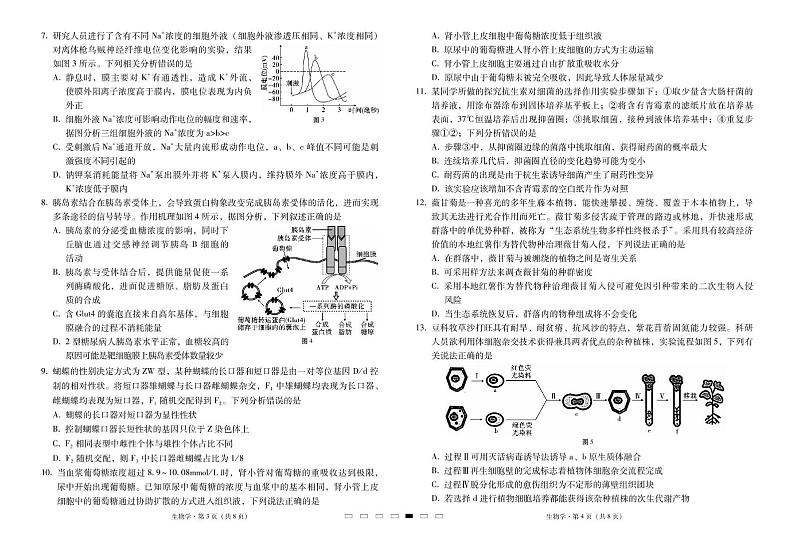 云南省三校2024-2025学年高三上学期高考备考实用性联考卷（四）生物试卷02