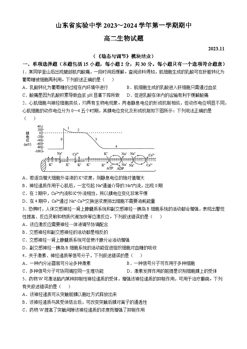 山东省实验中学2023-2024学年高二上学期期中考试生物试题第1页
