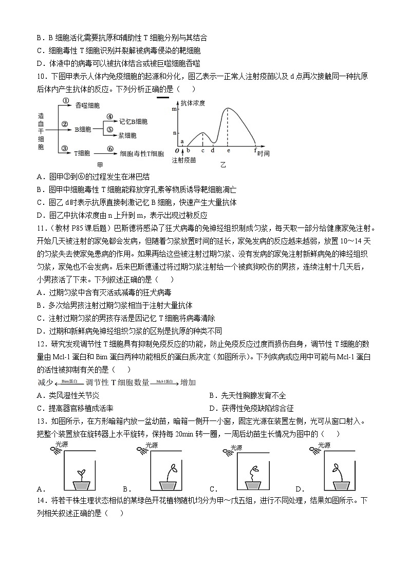 山东省实验中学2023-2024学年高二上学期期中考试生物试题第3页