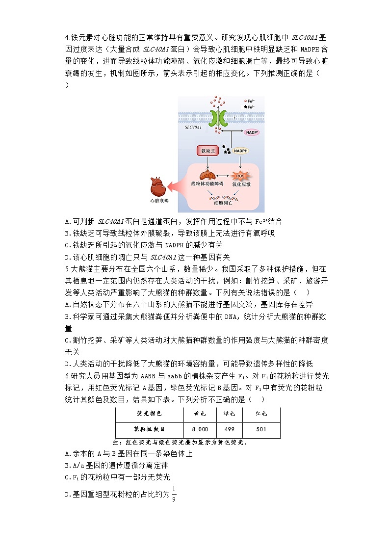 河南省焦作市博爱县第一中学2024-2025学年高三上学期10月月考生物试题第2页