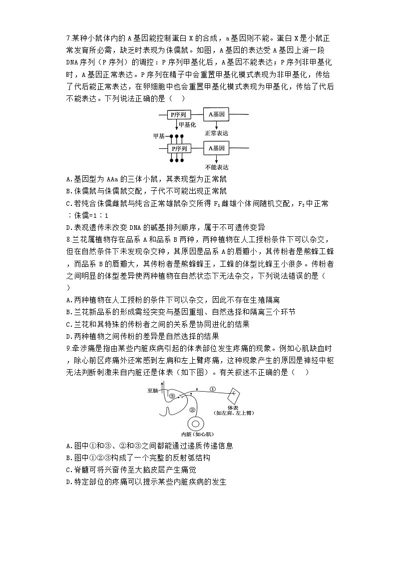 河南省焦作市博爱县第一中学2024-2025学年高三上学期10月月考生物试题第3页