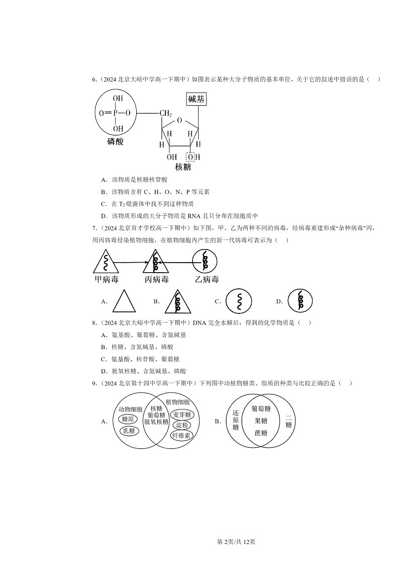 2024北京重点校高一下学期期中生物真题分类汇编：组成细胞的分子章节综合02