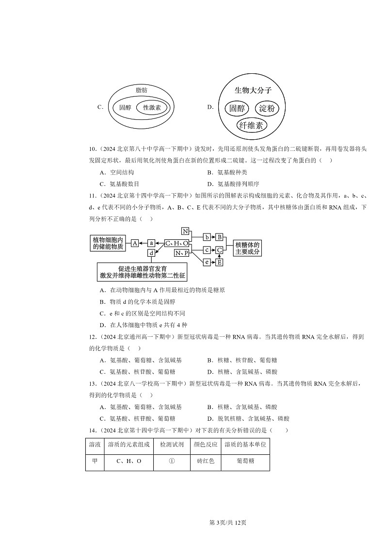 2024北京重点校高一下学期期中生物真题分类汇编：组成细胞的分子章节综合03