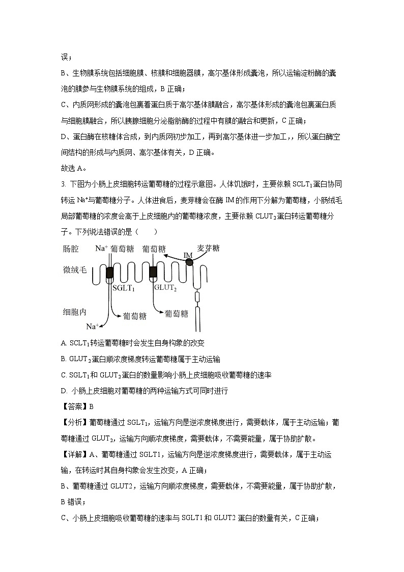 陕西省渭南市蒲城县2023-2024学年高二下学期6月第二次对抗赛生物试题（解析版）第2页