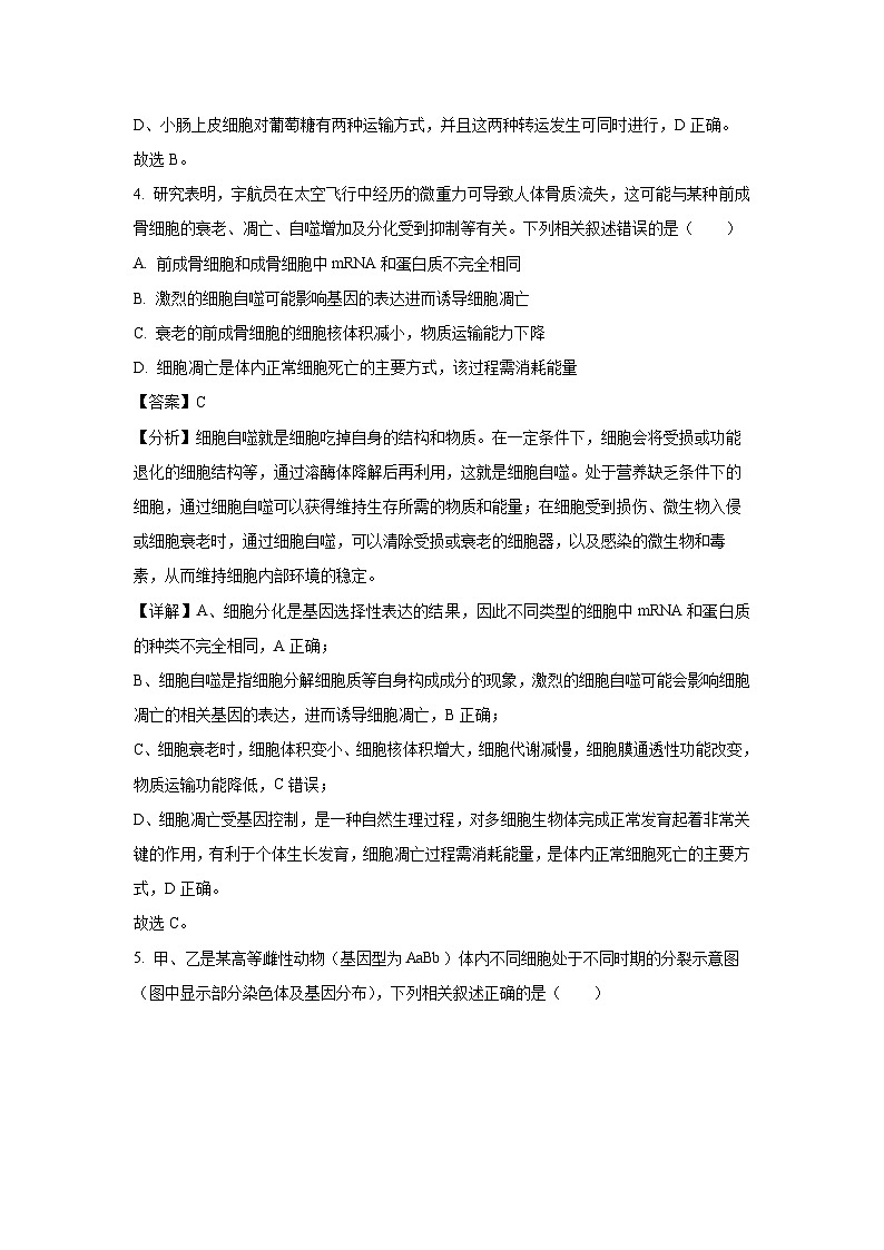陕西省渭南市蒲城县2023-2024学年高二下学期6月第二次对抗赛生物试题（解析版）第3页