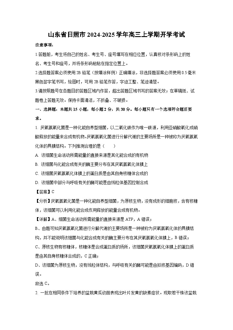 山东省日照市2024-2025学年高三上学期开学生物考试（解析版）01