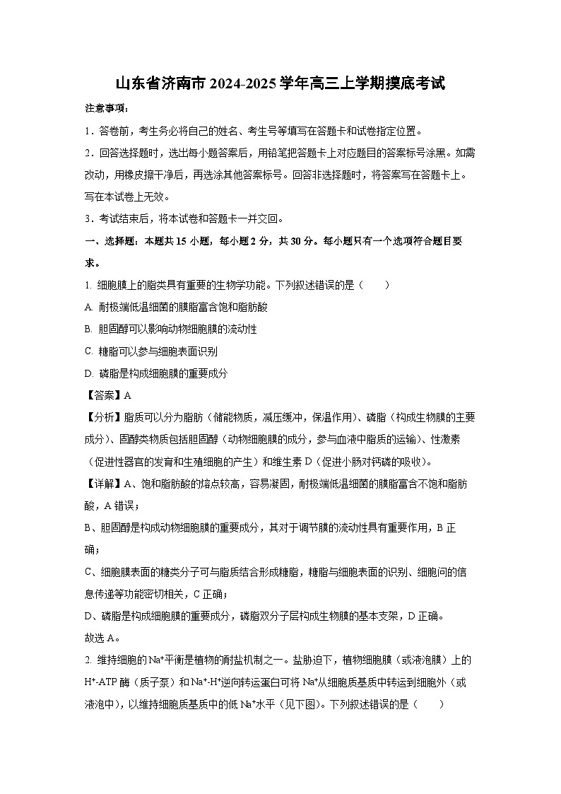 山东省济南市2024-2025学年高三上学期开学摸底生物考试（解析版）第1页