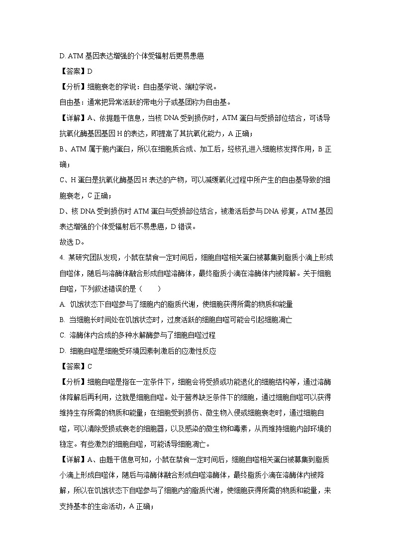 山东省济南市2024-2025学年高三上学期开学摸底生物考试（解析版）第3页