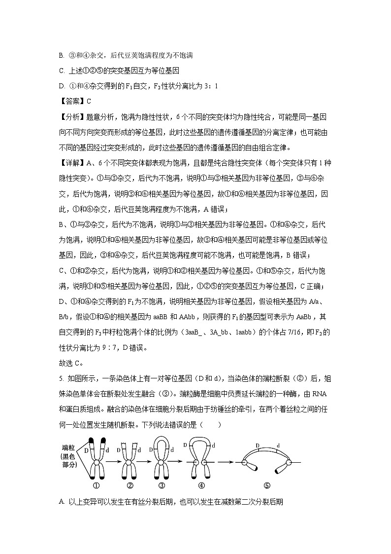 辽宁省七校2024-2025学年高二上学期期初开学考试生物试卷（解析版）第3页