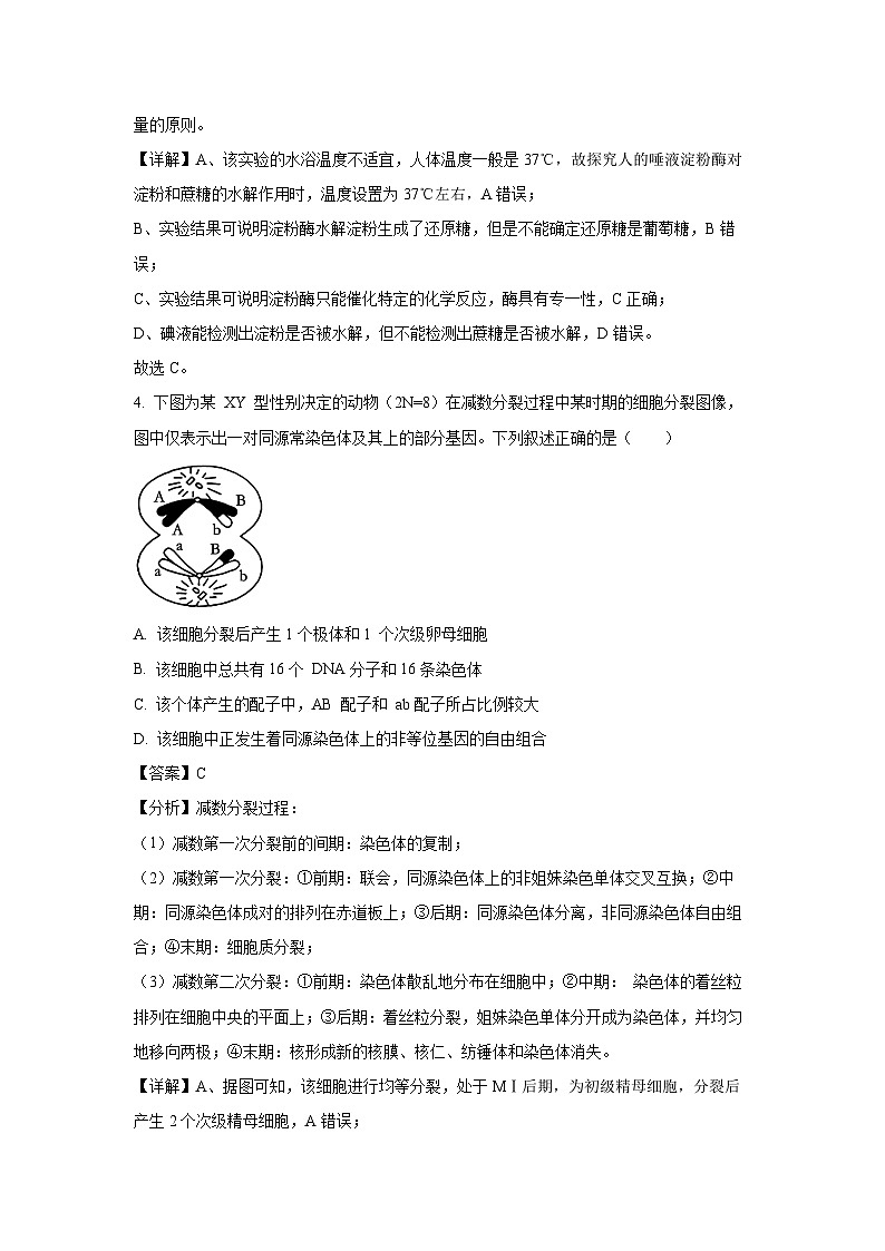 江西省部分学校2024-2025学年高三上学期入学摸底生物考试（解析版）第3页
