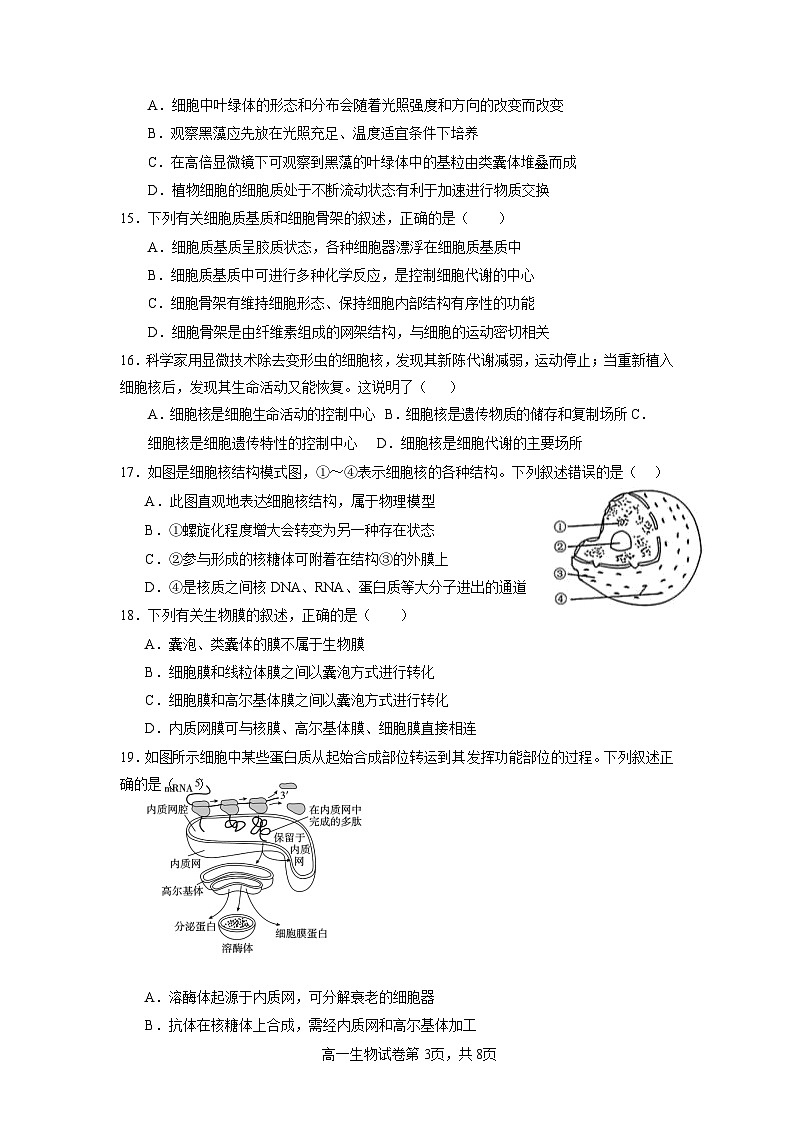 浙江省宁波市余姚中学2024-2025学年高一上学期10月月考生物试题第3页
