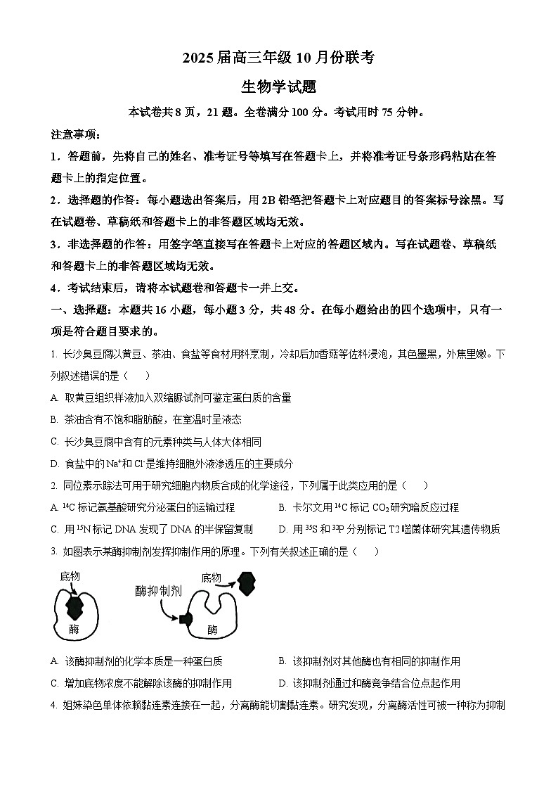 河南省安阳市林州市晋豫名校联盟2024-2025学年高三上学期10月月考生物试题第1页