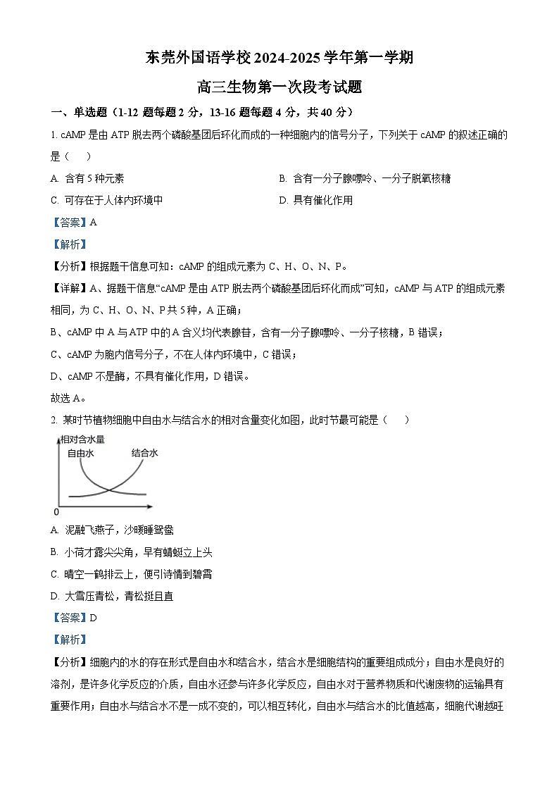 广东省东莞市东莞外国语学校2024-2025学年高三上学期10月月考生物试题（解析版）第1页