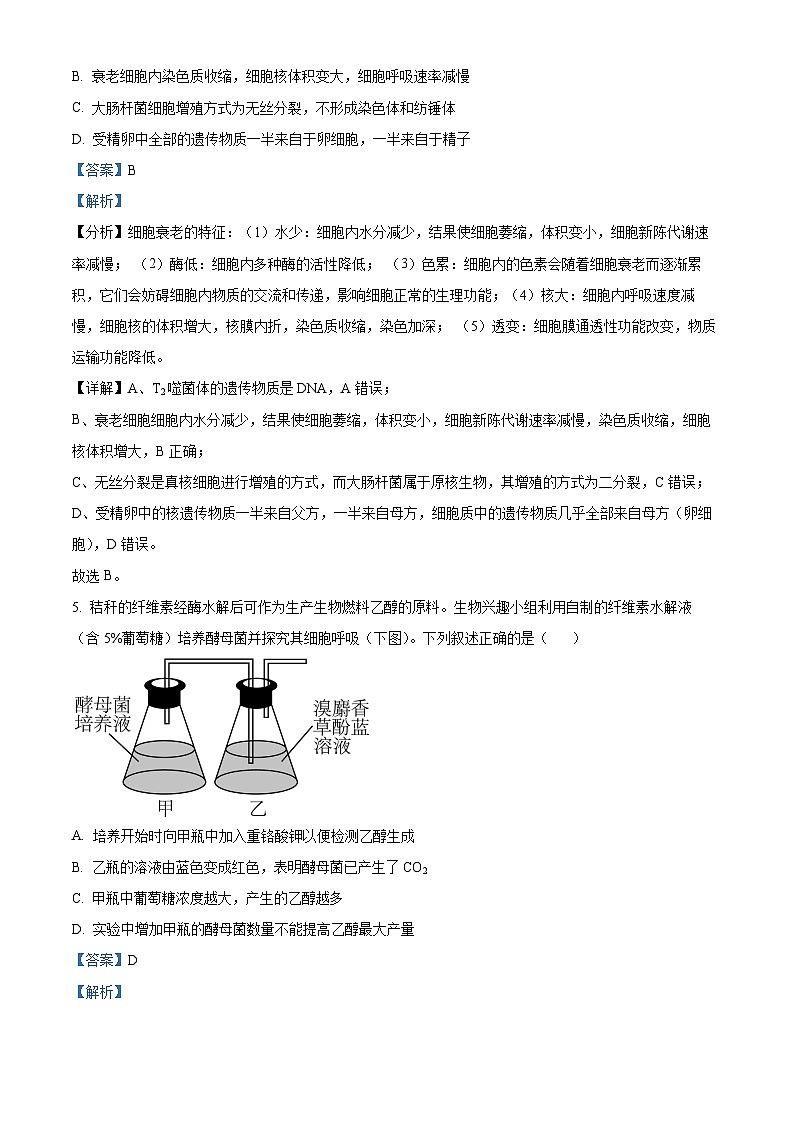 广东省东莞市东莞外国语学校2024-2025学年高三上学期10月月考生物试题（解析版）第3页