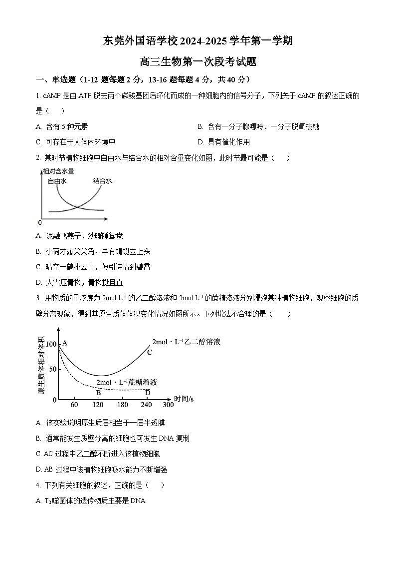 广东省东莞市东莞外国语学校2024-2025学年高三上学期10月月考生物试题（原卷版）第1页