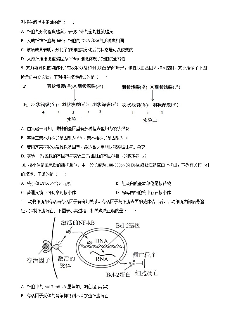 广东省东莞市东莞外国语学校2024-2025学年高三上学期10月月考生物试题（原卷版）第3页