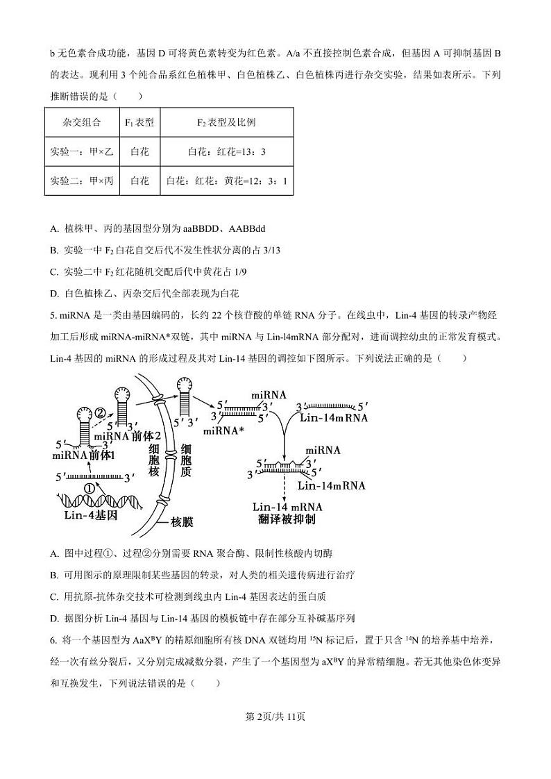 精品解析：山东省济南市第一中学2024-2025学年高三上学期10月月考生物试题（原卷版）第2页