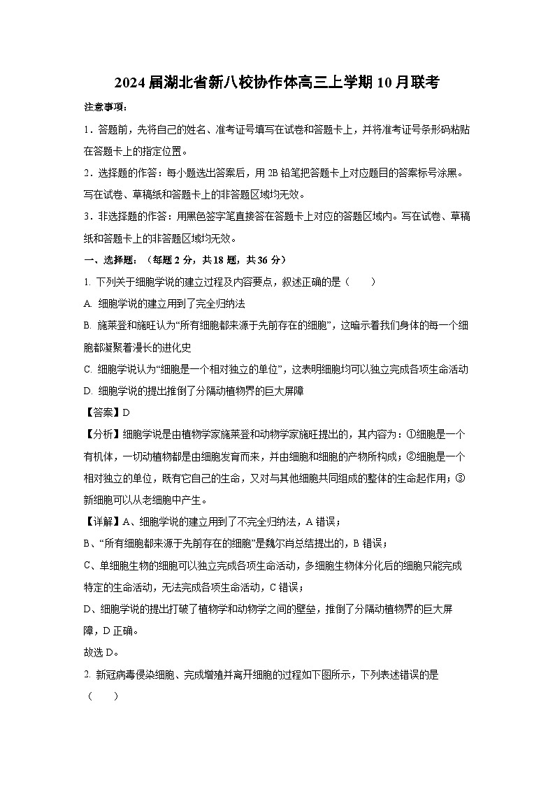 2024届湖北省新八校协作体高三上学期10月生物联考试卷（解析版）第1页