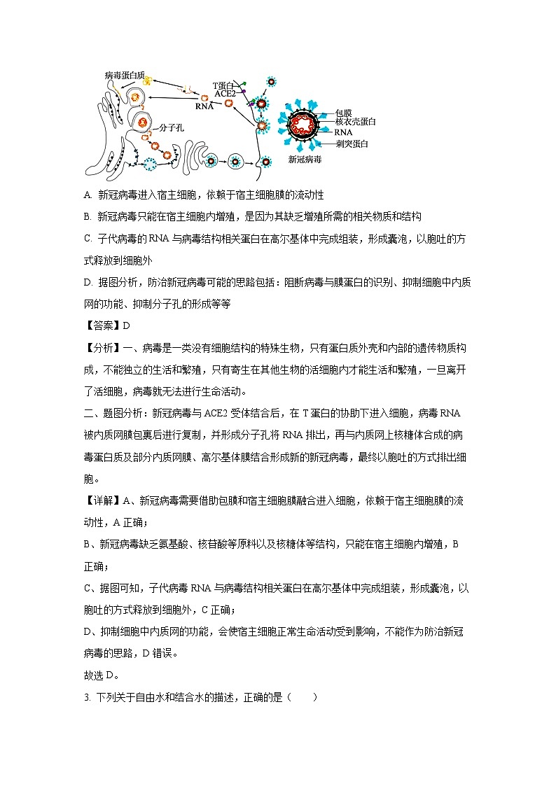 2024届湖北省新八校协作体高三上学期10月生物联考试卷（解析版）第2页
