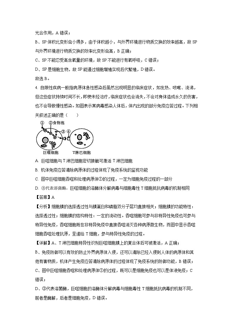 2024届辽宁省普通高校招生选考科目考试冲刺高考模拟押题卷(三)生物（解析版）第3页