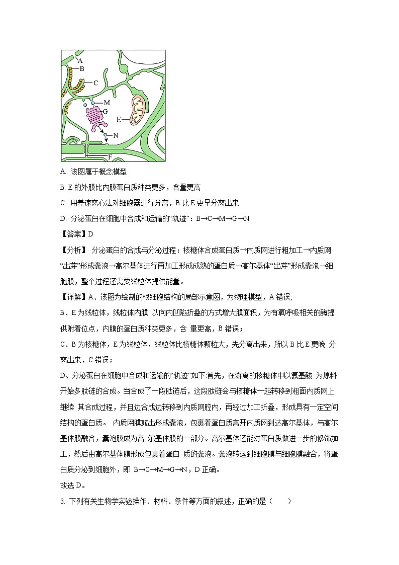 2024届山东省菏泽市高三下学期信息高考模拟押题卷（二）生物（解析版）第2页