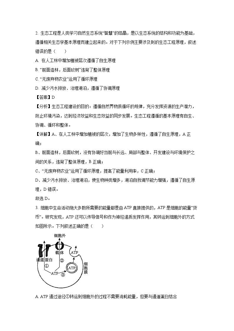 2024届山东省菏泽市高考模拟预测生物试卷（解析版）第2页