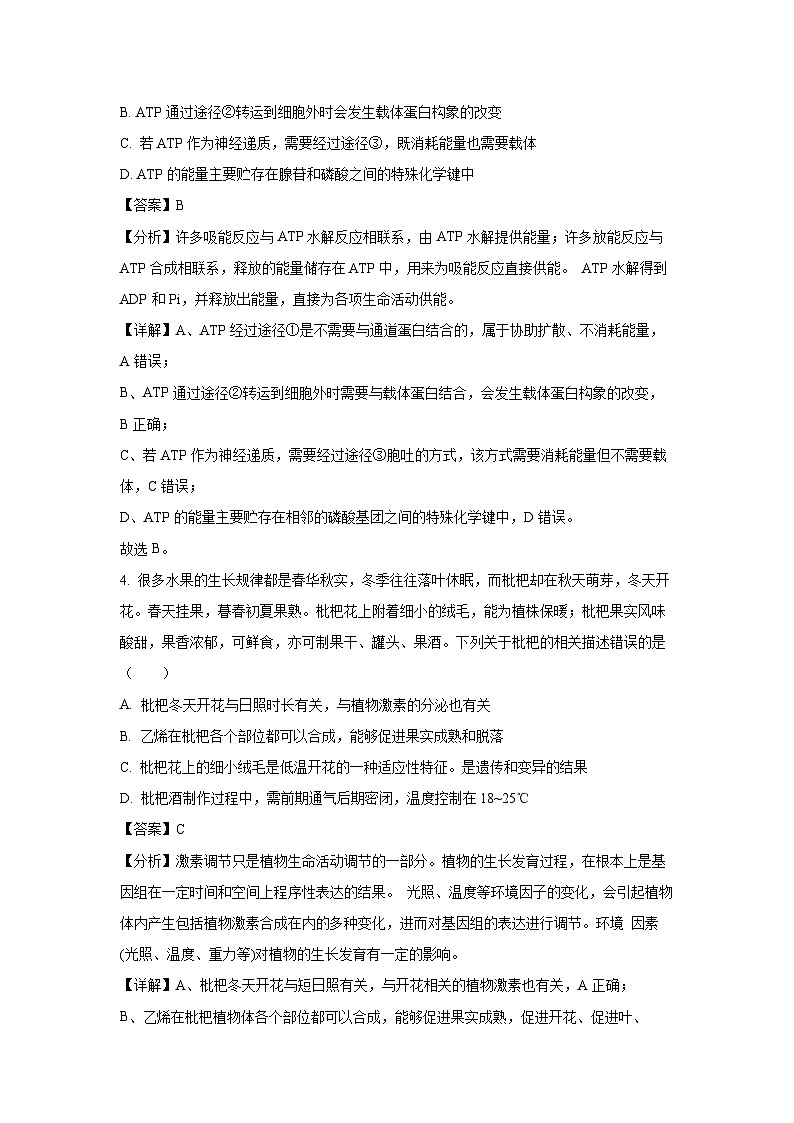 2024届山东省菏泽市高考模拟预测生物试卷（解析版）第3页