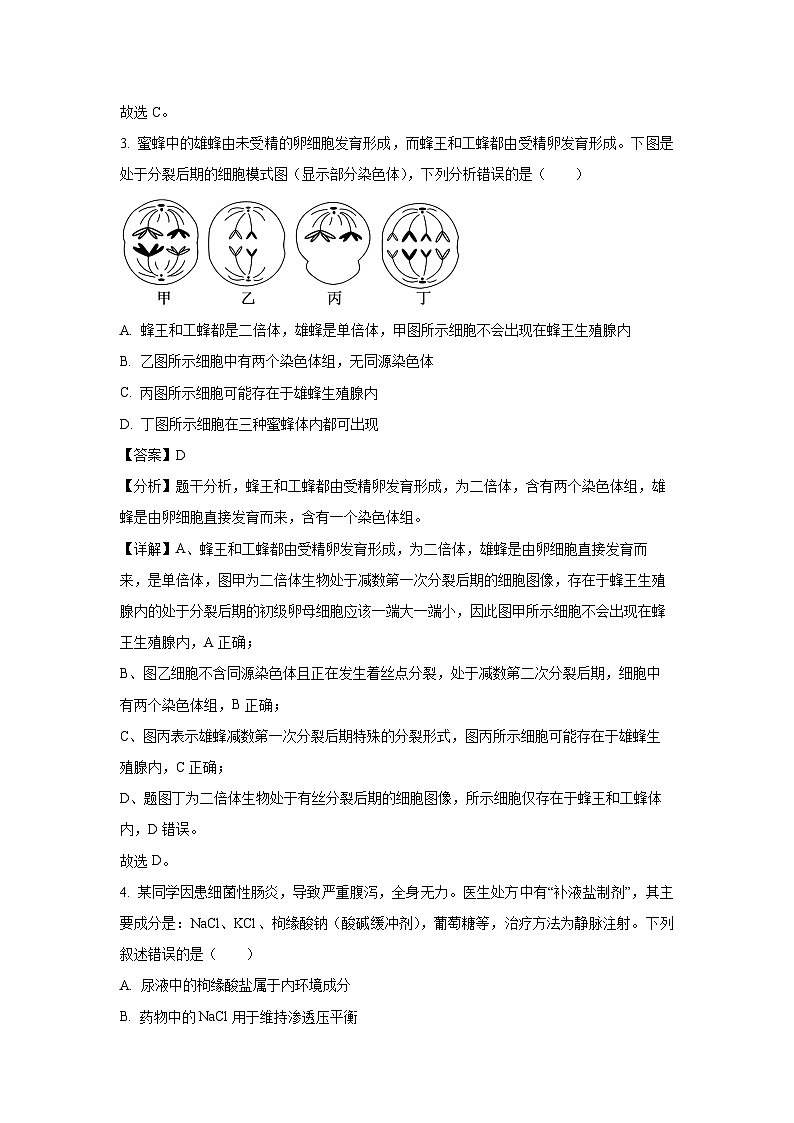 2024届陕西省西安市新城区高三下学期教学质量检测生物试题（三）（解析版）第3页