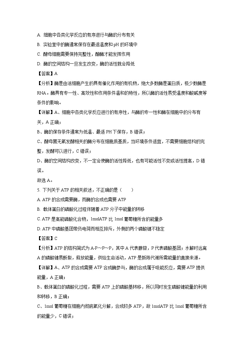 安徽省阜阳市红旗中学2024-2025学年高二上学期9月开学摸底考生物试卷（解析版）03
