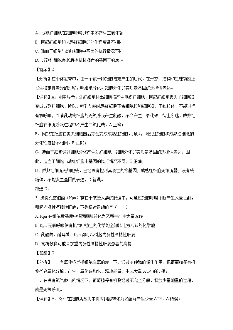北京市延庆区2024-2025学年高三上学期开学生物统考试卷（解析版）第2页