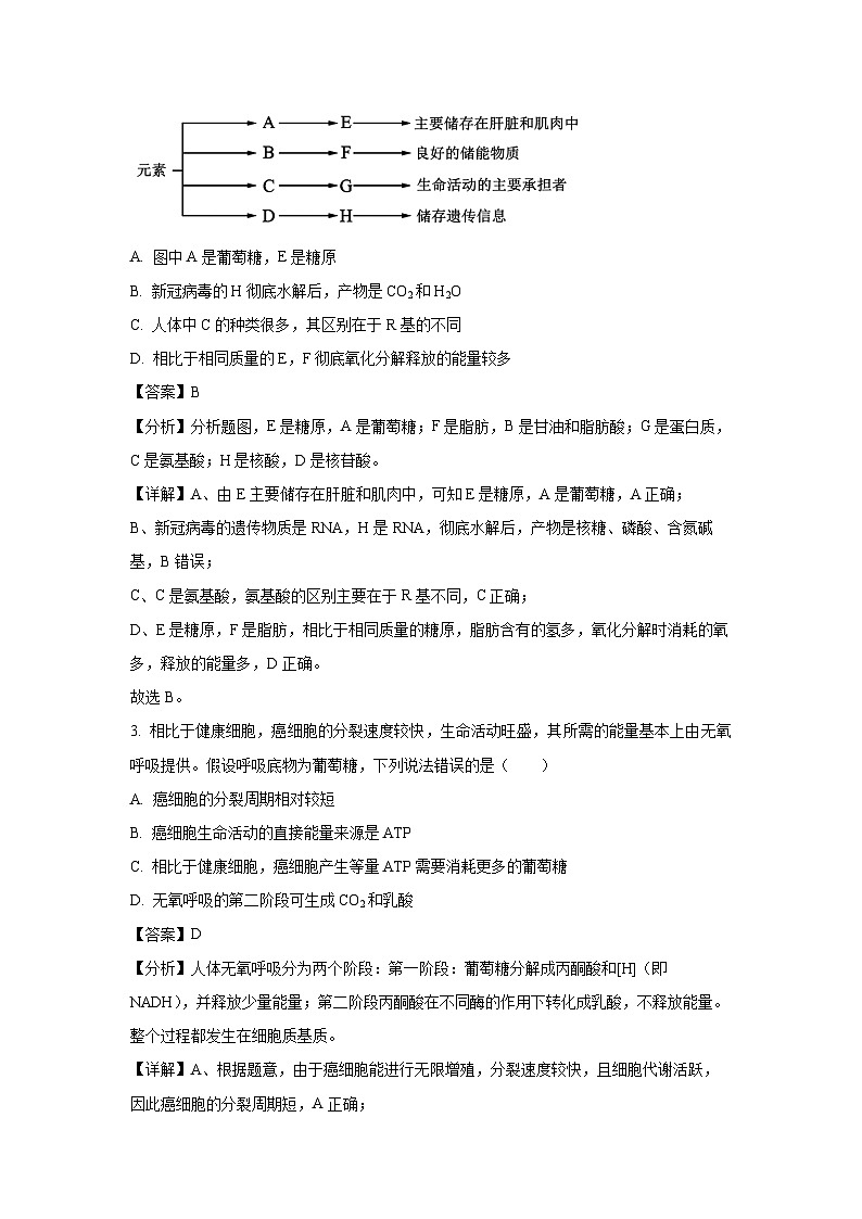 广西崇左市名校2023-2024学年高一下学期教学质量监测期末生物考试（解析版）第2页