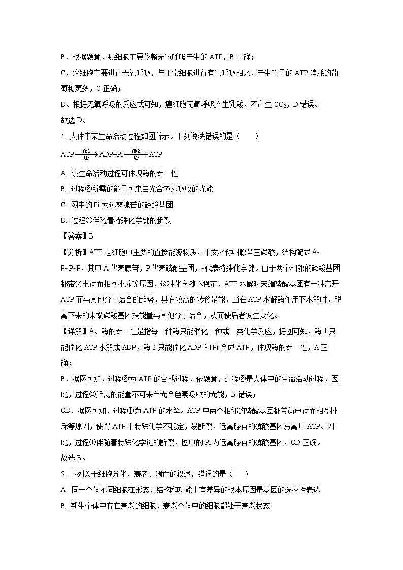 广西崇左市名校2023-2024学年高一下学期教学质量监测期末生物考试（解析版）第3页