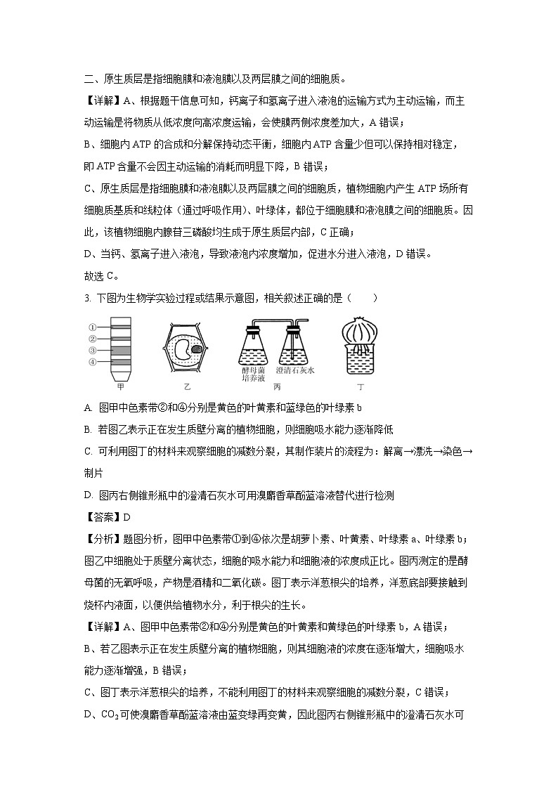 广东省佛山市2024-2025学年高三上学期9月生物联考试卷（解析版）第2页