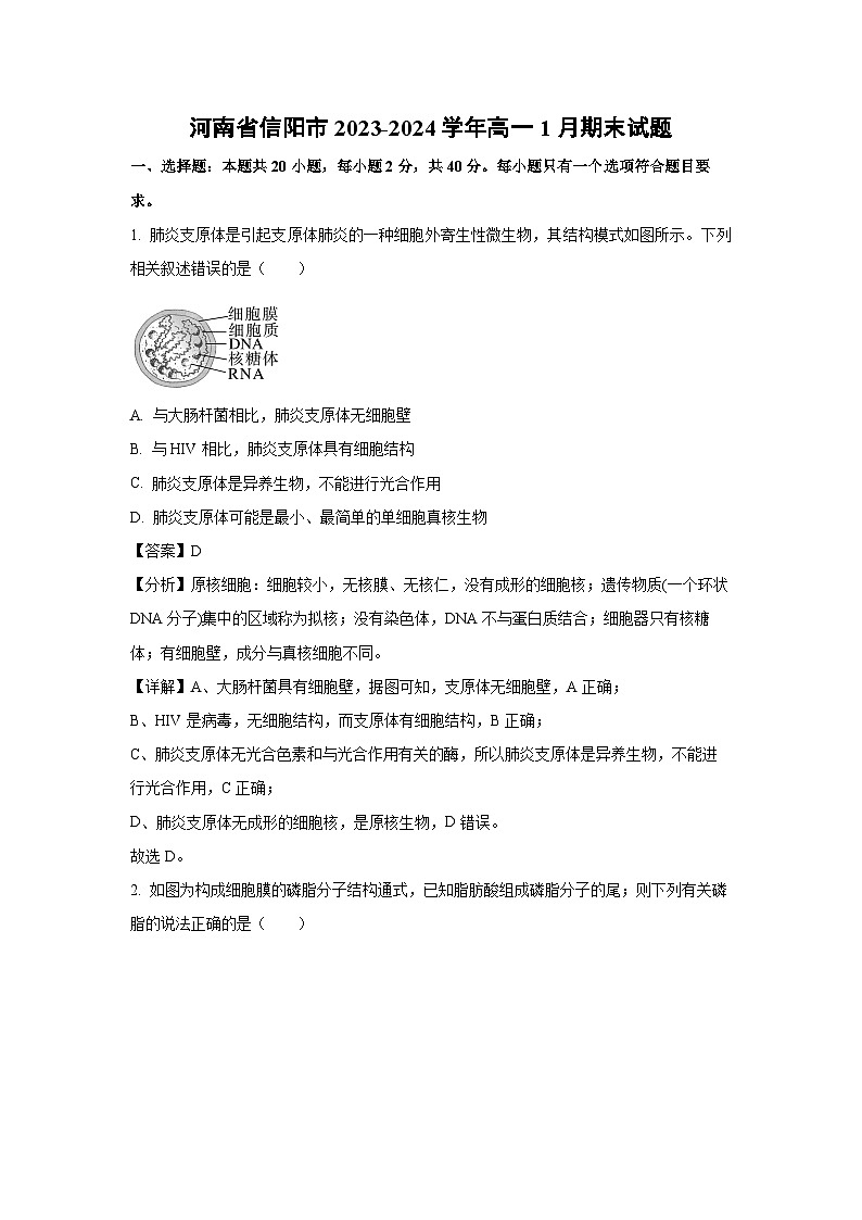 河南省信阳市2023-2024学年高一上学期1月期末生物试题（解析版）第1页