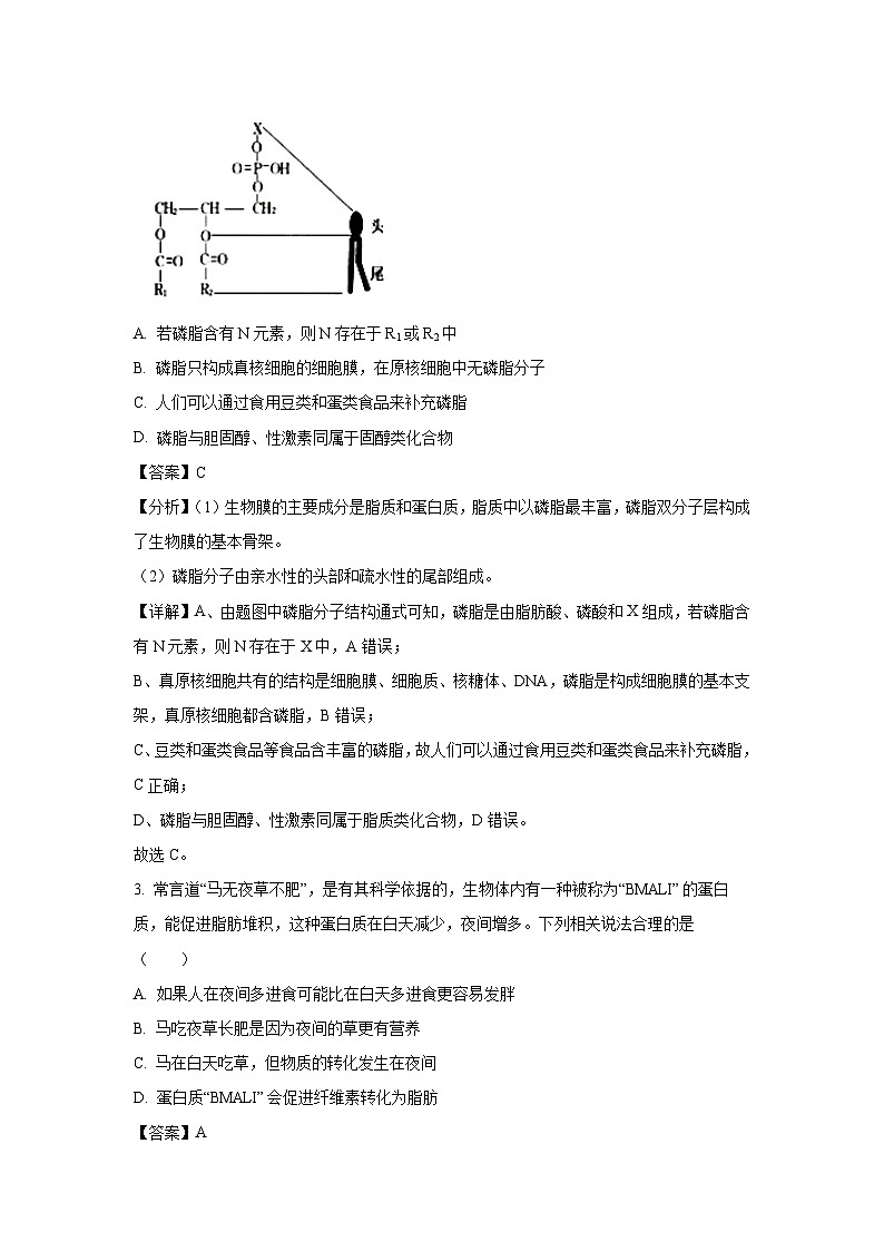 河南省信阳市2023-2024学年高一上学期1月期末生物试题（解析版）第2页
