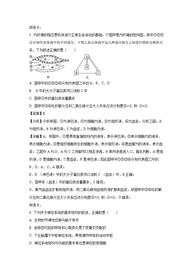 河南省郑州市2024-2025学年高二上学期9月月考生物试题（解析版）第3页