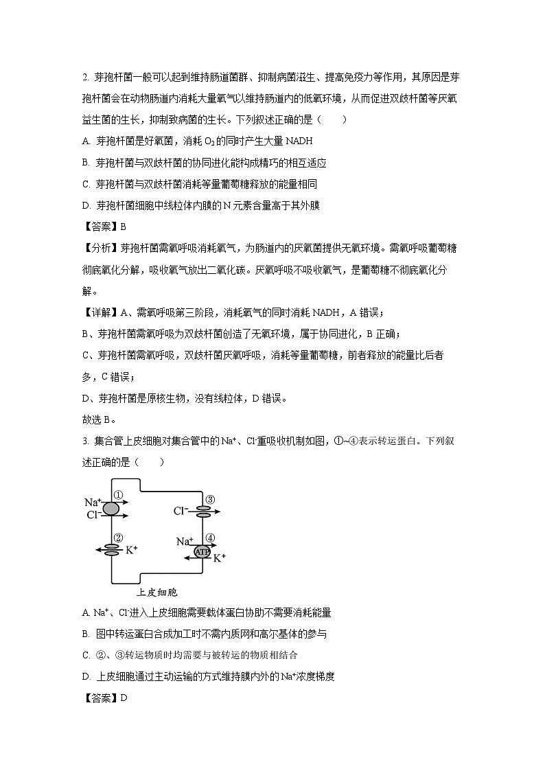 江浙皖高中（县中）发展共同体2024-2025学年高三上学期10月生物联考（浙江卷）（解析版）第2页