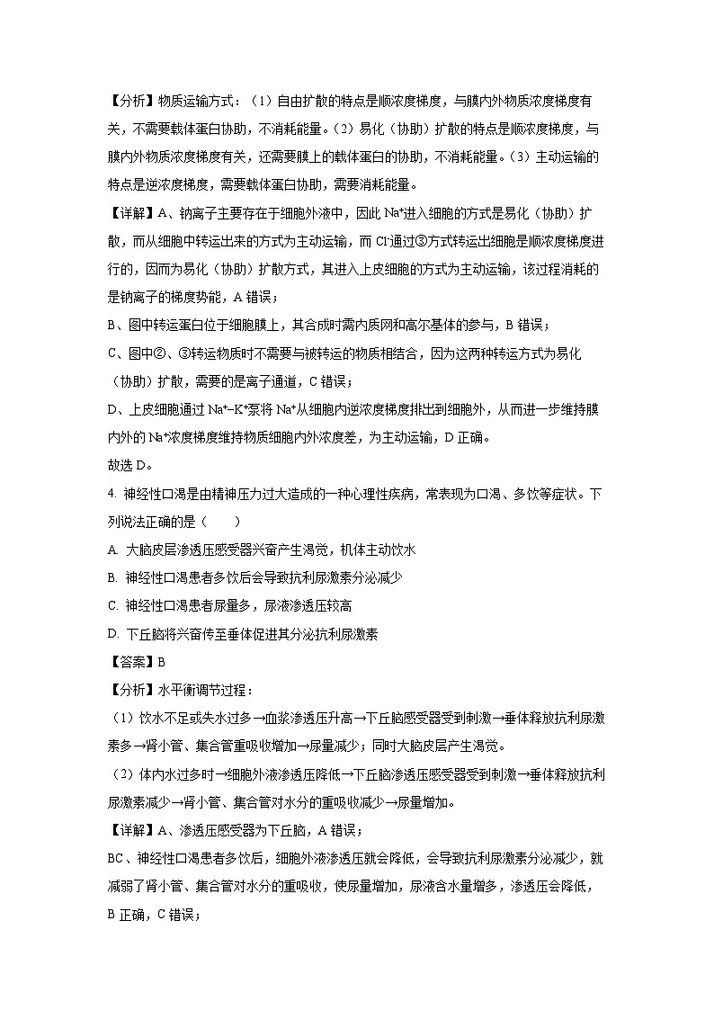 江浙皖高中（县中）发展共同体2024-2025学年高三上学期10月生物联考（浙江卷）（解析版）第3页