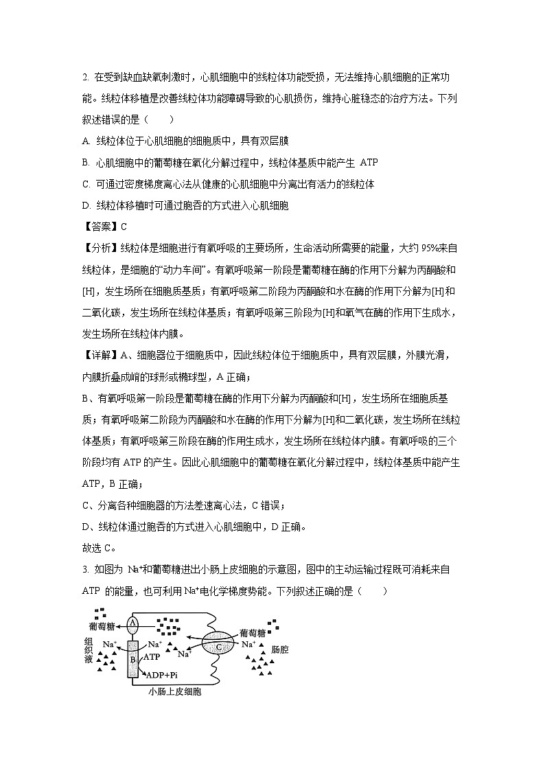 辽宁省部分学校2024-2025学年高三上学期10月阶段生物考试（解析版）第2页