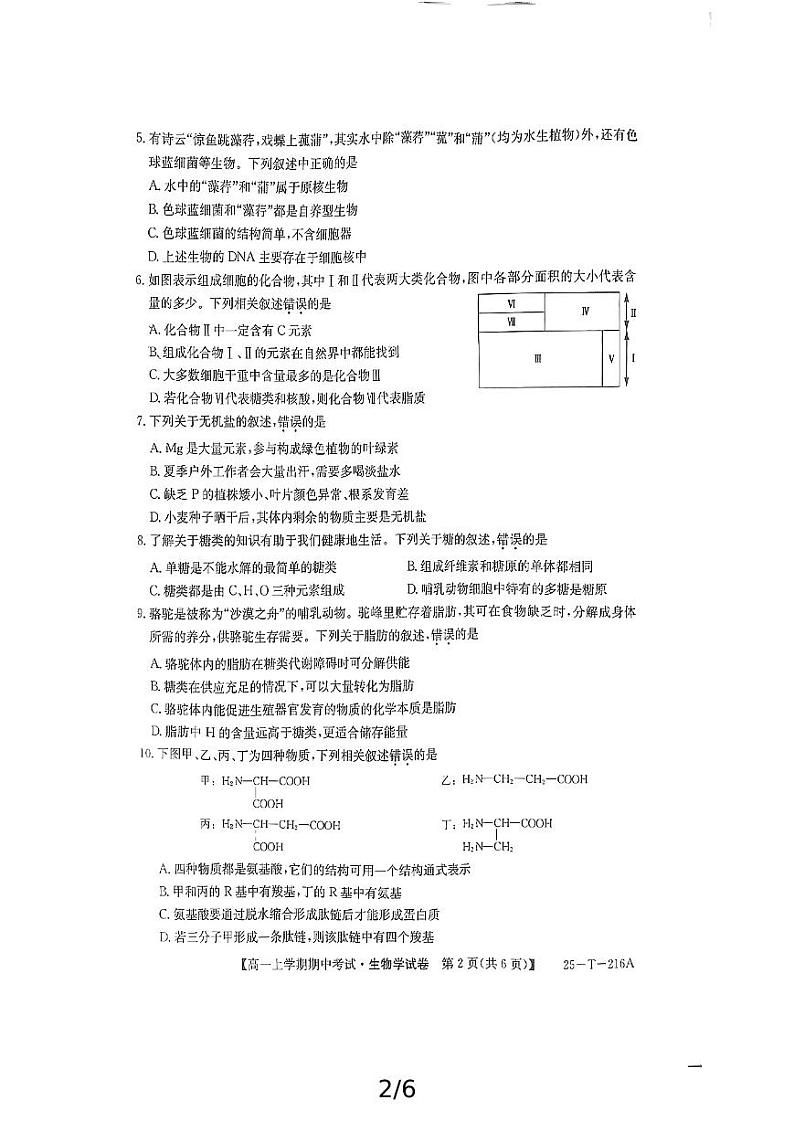 江西省鹰潭市余江区第一中学2024-2025学年高一上学期10月期中考试生物试题第2页